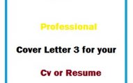 Professional Cover Letter 3 for your Cv or Resume