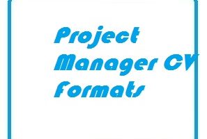 Project Manager CV Formats