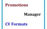 Promotions Manager CV Formats
