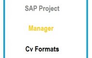 SAP Project Manager CV Formats