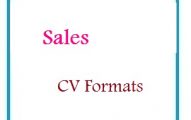 Sales CV Formats