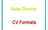Sales Director CV Formats