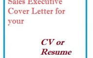 Sales Executive Cover Letter for your CV or Resume