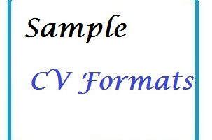 Sample CV Formats