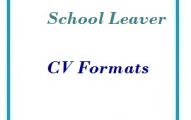School Leaver Cv Formats
