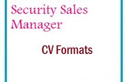 Security Sales Manager CV Formats
