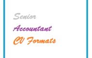 Senior Accountant CV Formats