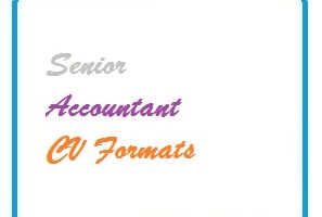 Senior Accountant CV Formats