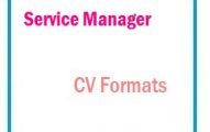 Service Manager CV Formats