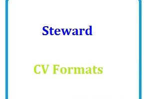 Steward CV Formats