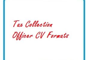 Tax Collection Officer CV Formats