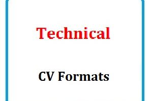 Technical CV Formats