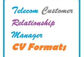 Telecom Customer Relationship Manager CV Formats