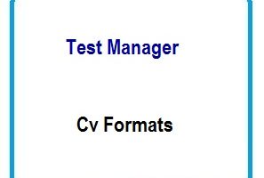 Test Manager CV Formats