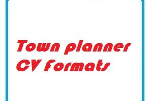 Town planner CV Formats