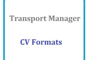 Transport Manager CV Formats