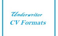 Underwriter CV Formats