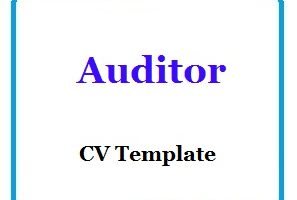 Auditor CV Template