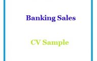 Banking Sales CV Sample