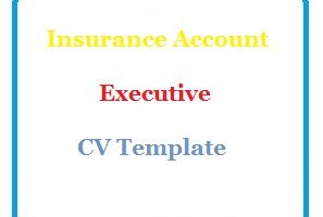 Insurance Account Executive CV Template