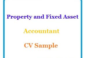 Property and Fixed Asset Accountant CV Sample