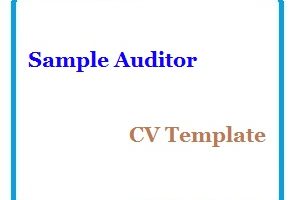 Sample Auditor CV Template