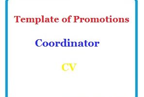 Template of Promotions Coordinator CV