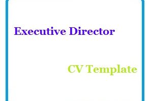 Executive Director CV Template