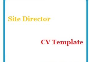 Site Director CV Template