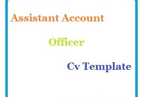 Assistant Account Officer Cv Template