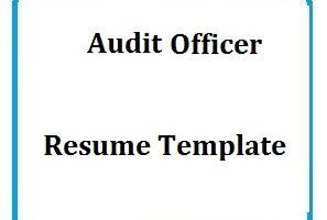 Audit Officer Resume Template