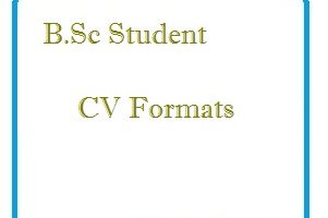 B.SC Student CV Formats