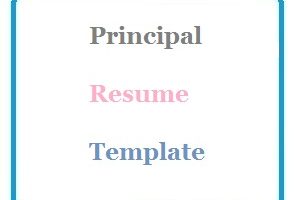 Principal Resume Template