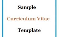 Sample Curriculum Vitae Template