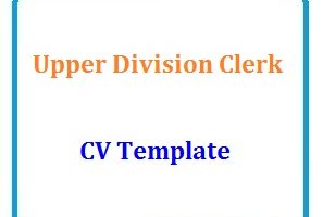 Upper Division Clerk Cv Template