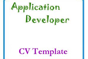 Application Developer CV Template