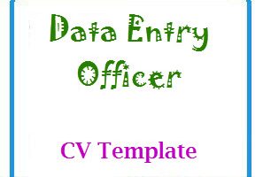 Data Entry Officer CV Template