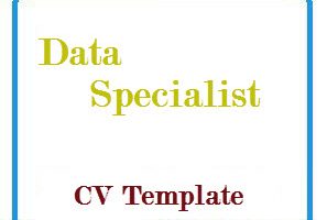 Data Specialist CV Template