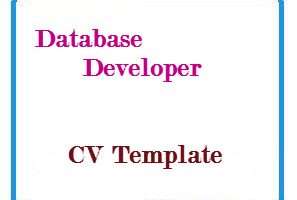 Database Developer CV Template