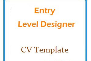 Entry Level Designer CV Templete