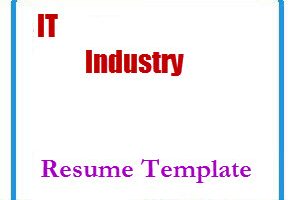 IT Industry Resume Template