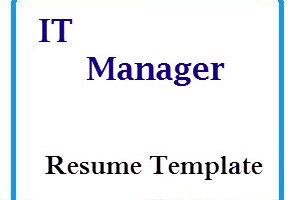 IT Manager Resume Template