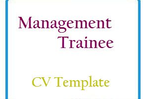 Management Trainee CV Template