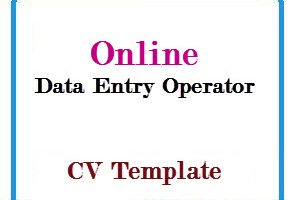 Online Data Entry Operator CV Template