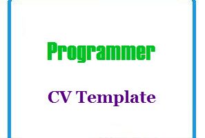 Programmer CV Template