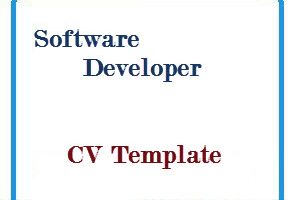 Software Developer CV Template
