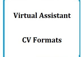 Virtual Assistant CV Formats