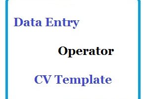 Data Entry Operator CV Template