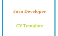 Java Developer CV Template