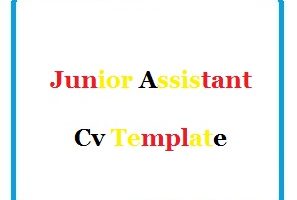Junior Assistant Cv Template